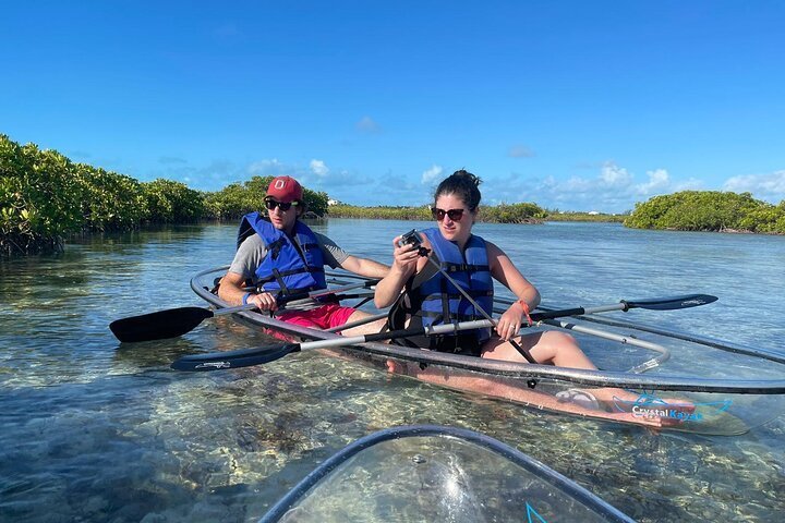 CLEAR KAYAK MANGROVE CAY TOUR<br><br>